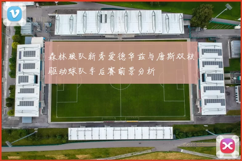 森林狼队新秀爱德华兹与唐斯双核驱动球队季后赛前景分析