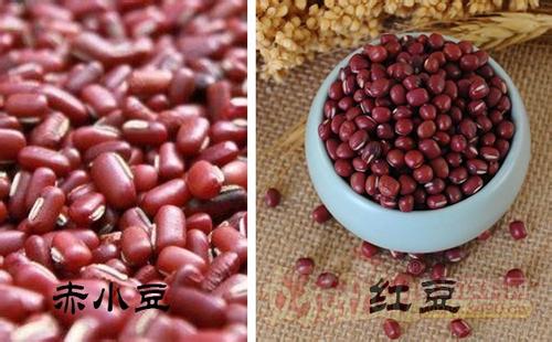红豆赤小豆有什么功效区别图片能一起煮吗 红豆赤小豆哪个祛湿好(2)