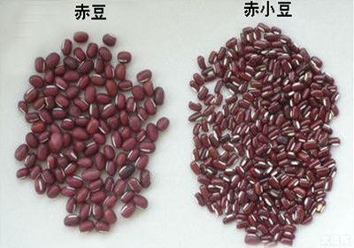 红豆赤小豆有什么功效区别图片能一起煮吗 红豆赤小豆哪个祛湿好(2)