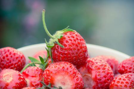 草莓种植时间几月份种植方法和技术 种植草莓需要注意事项有哪些